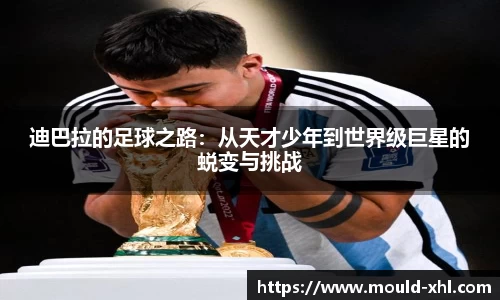 球速体育平台