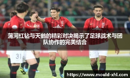 球速体育官网